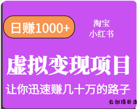 淘宝OR小红书虚拟变现，日赚1000+，多账号操作年收入几十W不等-云创项目库