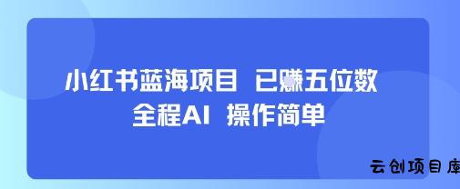 小红书蓝海项目，全程AI，操作简单，已挣五位数-云创项目库