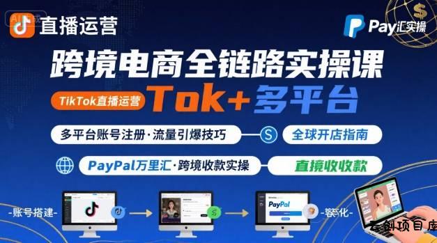 跨境电商线上课，TikTok 直播运营 + 多平台账号注册 + PayPal 万里汇实操教程-云创项目库