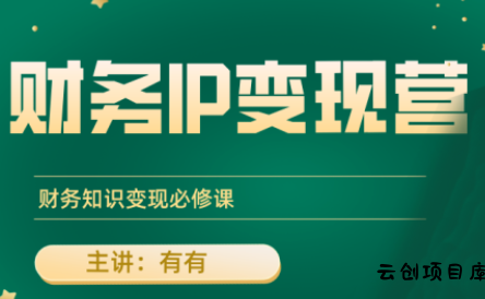 有有老师·财务IP变现营，财务知识变现必修课-云创项目库