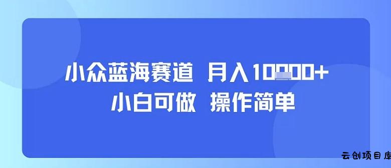 小众蓝海赛道，小白可做，操作简单，每天30分钟，月入1W+-云创项目库