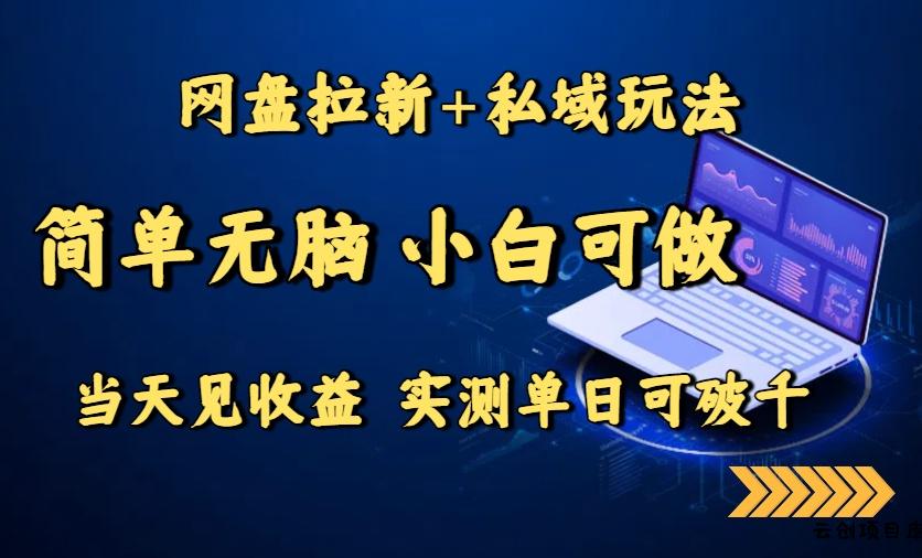 网盘拉新+私域玩法，简单无脑，小白可做，当天见收益，实测单日可破千-云创项目库