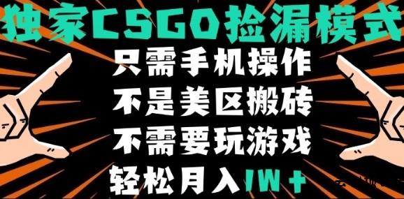 CSGO自动捡漏项目，最新独家玩法，不是美区搬砖，不需要了解和玩游戏，新手小白轻松月入1W+【揭秘】-云创项目库