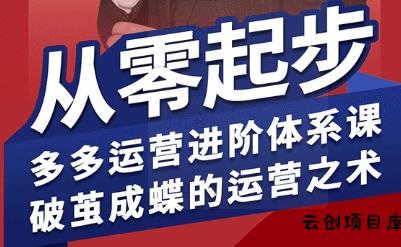 拼多多运营进阶系统课，从零起步，多多运营进阶体系课，破茧成蝶的运营之术-云创项目库