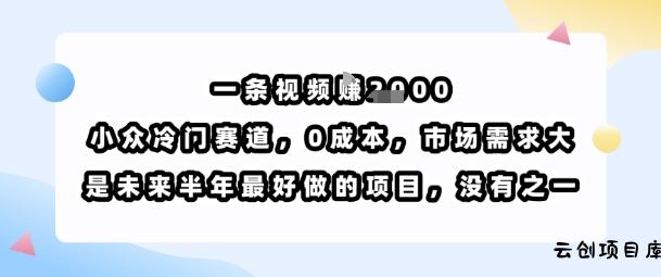 一条视频挣1k，小众冷门赛道，0成本，市场需求大，是未来半年最好做的项目，没有之一-云创项目库