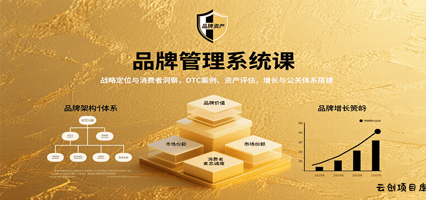 品牌管理系统课：战略定位与消费者洞察，DTC案例、资产评估，增长与公关体系搭建-云创项目库