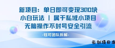 新项目单日即可变现3张的小白玩法无脑操作不封号安全引流-云创项目库