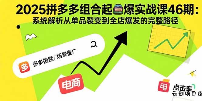 2025拼多多组合起爆实战课46期：系统解析从单品裂变到全店爆发的完整路径-云创项目库