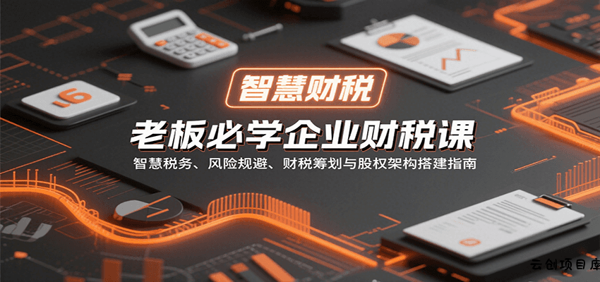 老板必学企业财税课：智慧税务、风险规避、财税筹划与股权架构搭建指南-云创项目库
