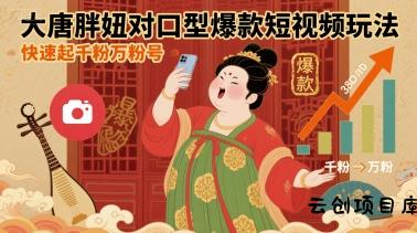 大唐胖妞对口型爆款短视频玩法，快速起千粉万粉号-云创项目库