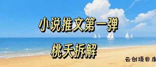 小说推文项目操作全流程第一弹，0粉就能做，门槛低非常适合新手-云创项目库