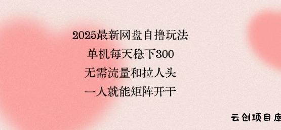 2025最新网盘自撸玩法，单机每天稳下3张，无需流量和拉人头，一个人就可轻松矩阵，全网独一份【揭秘】-云创项目库