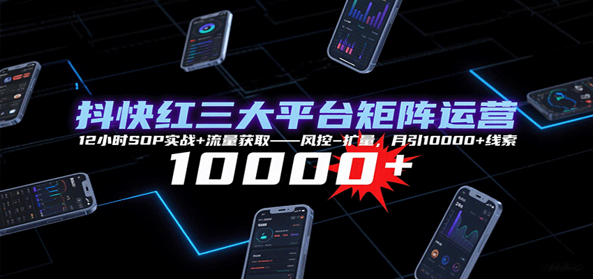 抖快红三大平台矩阵运营，12小时SOP实战+流量获取-风控-扩量，月引10000+线索-云创项目库