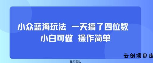 小众蓝海玩法 一天搞了四位数 小白可做 操作简单-云创项目库
