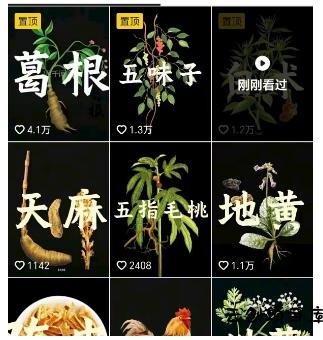 抖音中草药赛道,用AI做中草药故事视频,45条作品涨粉13W,橱窗带货猛猛出单