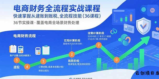 电商财务全流程实战课程：快速掌握从建账到报税的全流程技能(36节课-云创项目库
