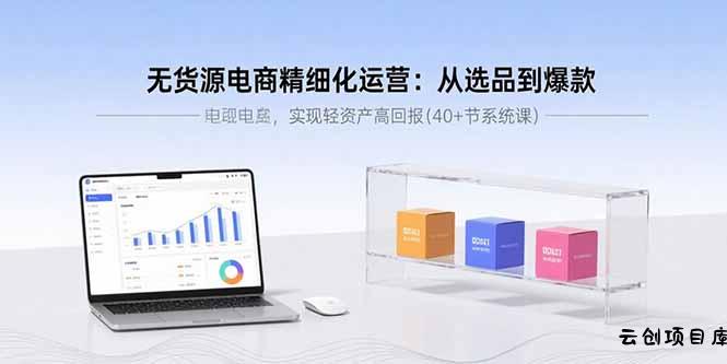 无货源电商精细化运营：从选品到爆款，实现轻资产高回报(40+节系统课-云创项目库