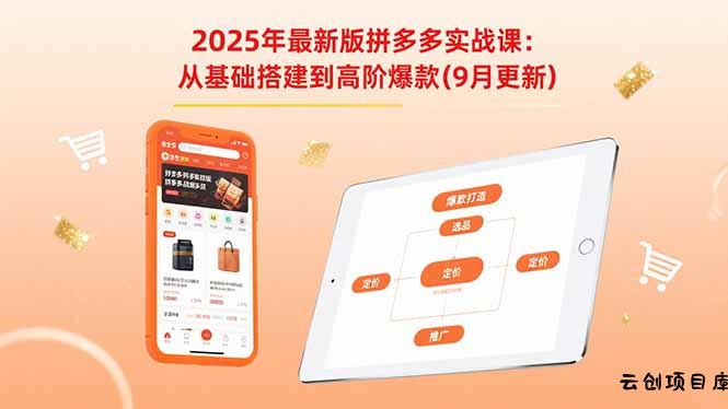 2025年最新版拼多多实战课：从基础搭建到高阶爆款(9月更新-云创项目库