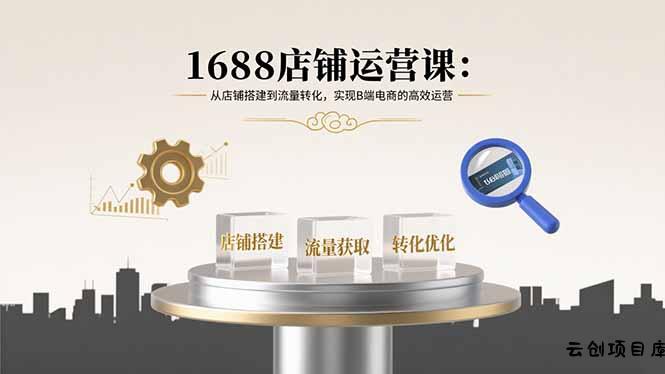 1688店铺运营课：从店铺搭建到流量转化，实现B端电商的高效运营-云创项目库