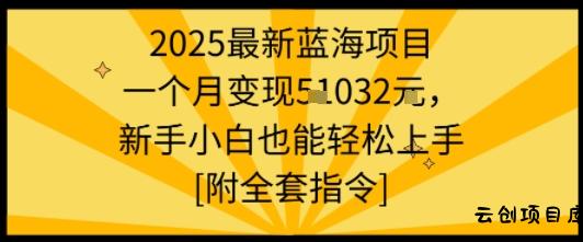 2025最新蓝海项目一个月变现1w+新手小白也能轻松上手【附全套指令】-云创项目库