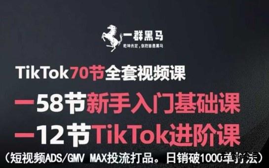 TikTok全套视频课，新手入门+进阶课，短视频ADS-GMV MAX投流打品，日销破1000单打法-云创项目库