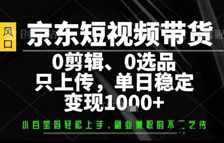 你出账号，我来运营，保底日入1k+，开启躺賺模式【揭秘】-云创项目库