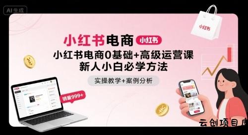 小红书电商0基础+高级运营课，新人小白必学方法，实操教学+案例分析-云创项目库