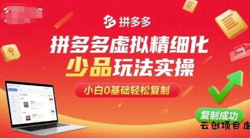 拼多多虚拟精细化少品玩法实操，小白0基础轻松复制-云创项目库