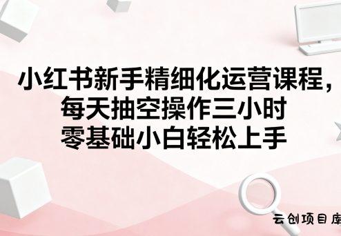 小红书新手精细化运营课程，每天抽空操作三小时，零基础小白轻松上手-云创项目库