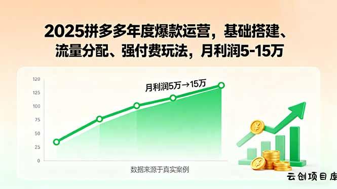 2025拼多多年度爆款运营，基础搭建、流量分配、强付费玩法，月利润5-15万-云创项目库