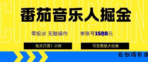 番茄音乐人掘金，单账号最高可撸1k+，可无限矩阵去做，零投入-云创项目库