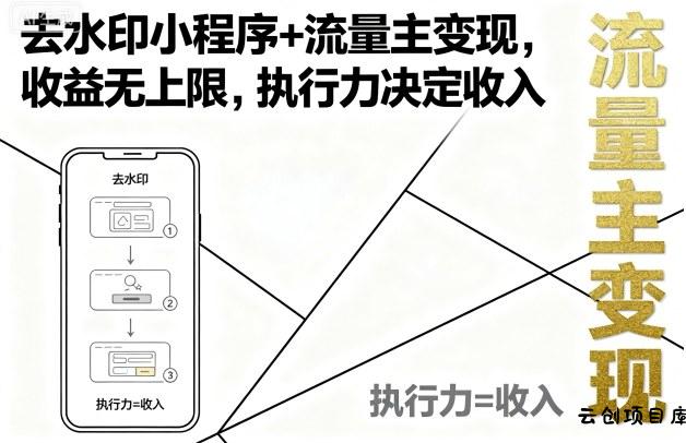 去水印小程序+流量主变现，收益无上限，执行力决定收入-云创项目库