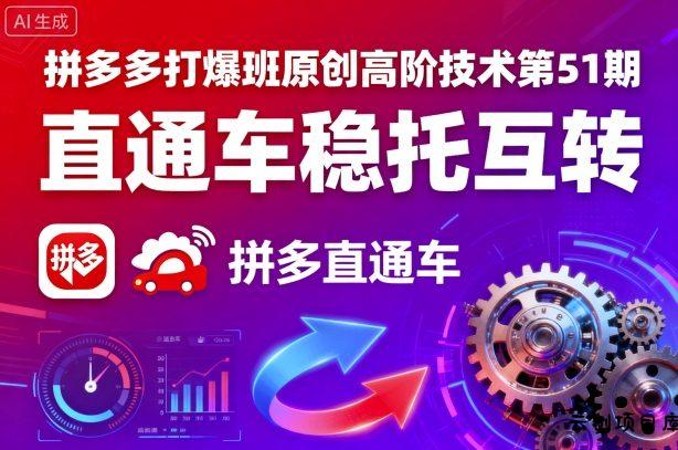 拼多多打爆班原创高阶技术第51期，直通车稳托互转-云创项目库