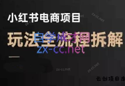 菲菲老师·小红书电商玩法(更新9月)-云创项目库