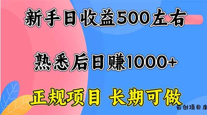 新手日收益500+ 正规项目 长期可做-云创项目库