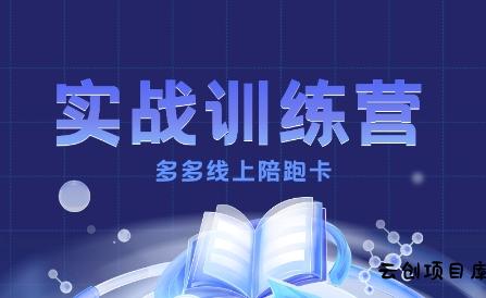 多多实战训练营，从0到1打造一个真正賺钱的店铺-云创项目库