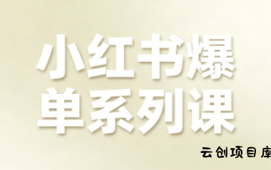 尼采老师·小红书爆单系列课-云创项目库