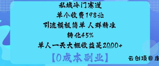 私域冷门赛道:单个收费198米引流模板简单人群精准转化45%单人一天大概收益是1k+-云创项目库