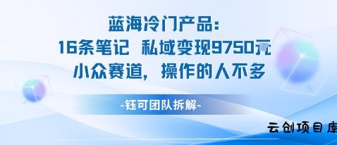 蓝海项目：16条笔记私域变现9750米小众赛道操作的人不多-云创项目库
