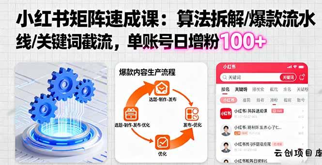 小红书矩阵起号速成课：算法拆解/爆款流水线/关键词截流 单账号日增粉100+-云创项目库