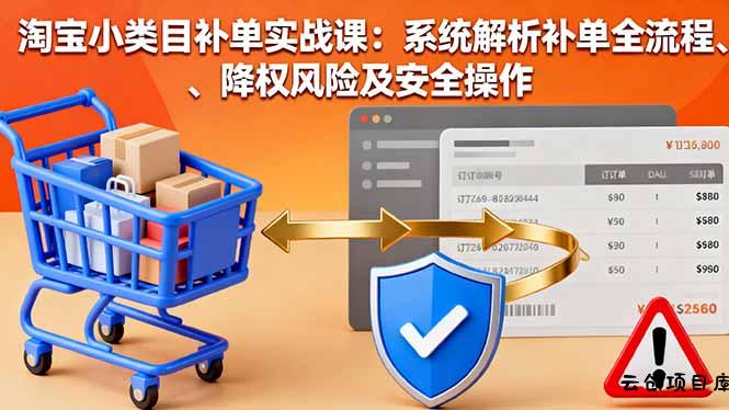 淘宝小类目补单实战课：系统解析补单全流程、降权风险及安全操作-云创项目库