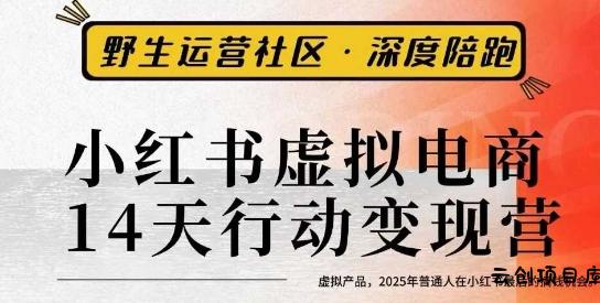 小红书虚拟电商14天变现训练营3.0，​虚拟产品，2025年普通人在小红书最后的搞钱机会-云创项目库