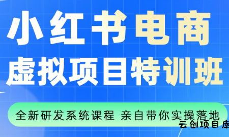 陆明明·小红书虚拟项目特训班(更新9月)-云创项目库