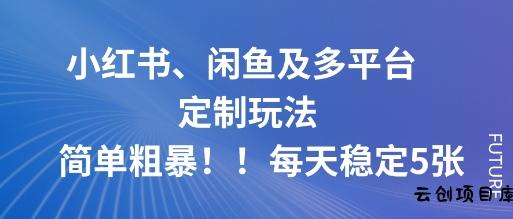 小红书、闲鱼及多平台定制玩法简单粗暴！每天稳定5张-云创项目库