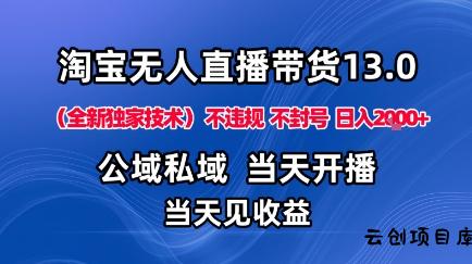淘宝无人直播13.0，公域私域技术，不封号，不违规布局下半年旺季赛道，日入1K+(独家技术)【揭秘】-云创项目库