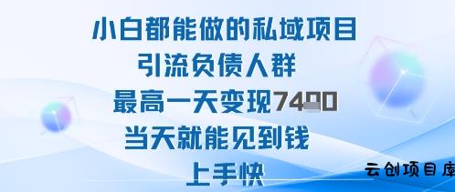 2025年小白都能做的私域项目引流负债人群最高一天变现1k+高变现难度低当天就能见到钱上手快