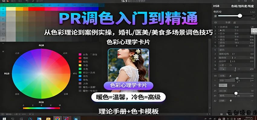 PR调色入门到精通：从色彩理论到案例实操，婚礼/医美/美食多场景调色技巧-云创项目库