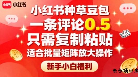 小红书种草豆包，一条评论0.5，只需复制粘贴，适合批量矩阵放大操作，新手小白福利-云创项目库