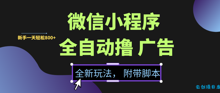 微信小程序挂机撸广告,全新玩法,新手一天轻松800+【附带脚本】-云创项目库
