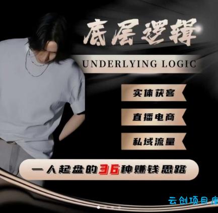一个人起盘的底层逻辑,私域流量-直播电商-实体获客,一人起盘的36种賺钱思路-云创项目库